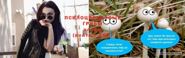амф Козловка