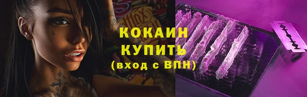 а пвп мука Кодинск
