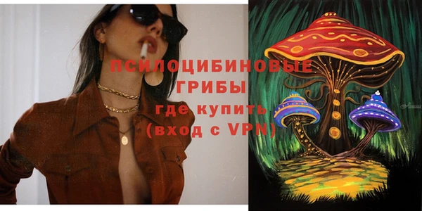 амф Козловка