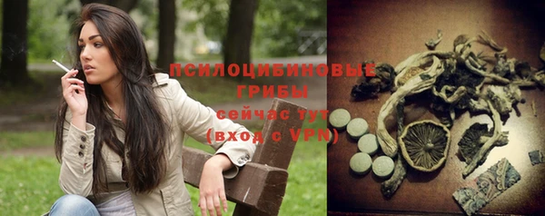 а пвп мука Кодинск