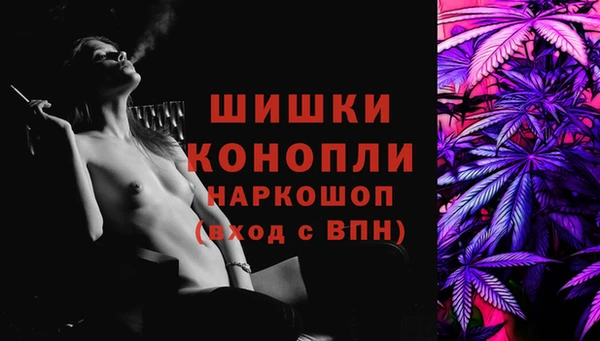 амф Козловка
